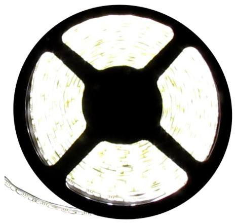 12V LED Strip Lights ~ 12V Single Color Light Strips ~ 3528SMD Single Color ~ 3528 Single Color Reel Only;12V LED Strip Lights ~ 12V White LED Light Strips ~ White (Daylight);White SALE - 3528SMD Nova Bright Daylight White Flexible LED Light Strip 16 Ft