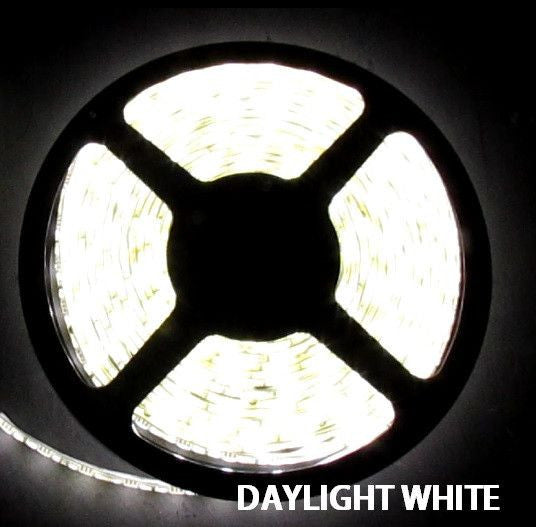 12V LED Strip Lights ~ 12V Single Color Light Strips ~ 5050SMD Single Color ~ 5050 Single Color LED Kit;12V LED Strip Lights ~ 12V White LED Light Strips ~ White (Daylight) - 5050SMD Daylight White Flexible LED Light  Strip 16 Ft Reel Kit - NON WATERPROOF