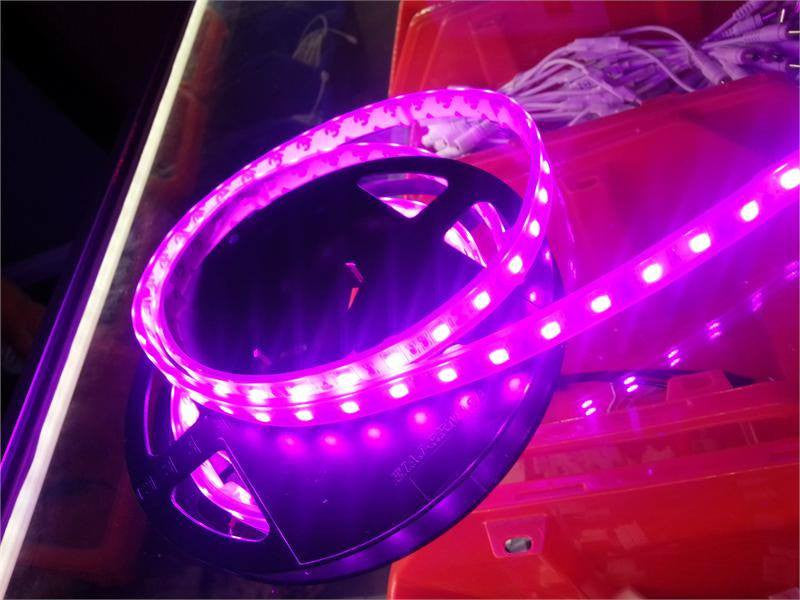 12V LED Strip Lights ~ 12V Single Color Light Strips ~ 5050SMD Single Color ~ 5050 Single Color LED Kit - 5050SMD NovaBright Pink Flexible Waterproof LED Light  Strip 16 Ft Reel Kit