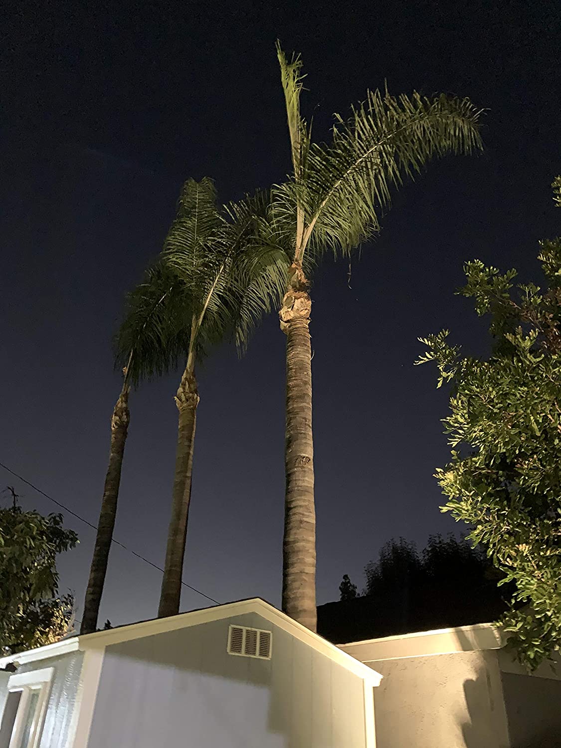 Nova Bright SPB06 Brass LED Spotlight Outdoor Low Voltage Landscape Lights for House Patio Yard Garden Pathway Waterproof Heavy Duty Spot Light IP65 12V AC/DC MR16 Not Included