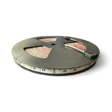 RGBW (6000K) 6in1 32FT IP65 LED Strip Light  19.2W/M 24V 5050RGBW-24V-IP65