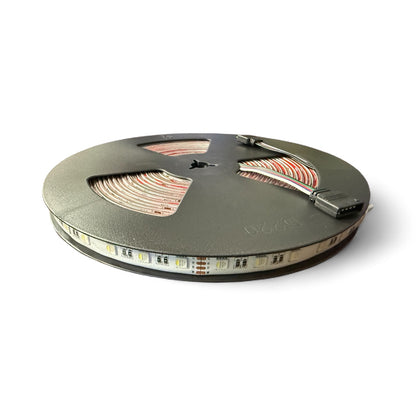 RGBW (6000K) 6in1 32FT IP65 LED Strip Light  19.2W/M 24V 5050RGBW-24V-IP65