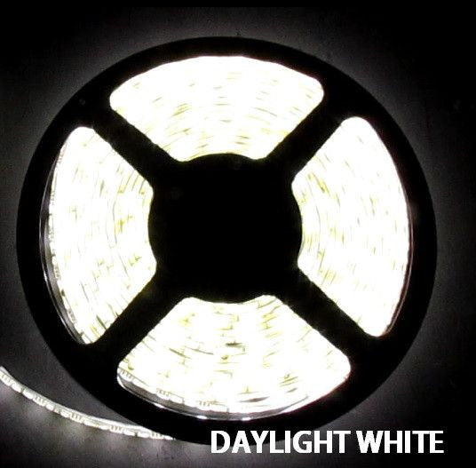 12V LED Strip Lights ~ 12V Single Color Light Strips;12V LED Strip Lights ~ 12V White LED Light Strips ~ White (Daylight) - 5050SMD Daylight White Flexible LED Light  Strip 16 Ft Reel Only - NON WATERPROOF