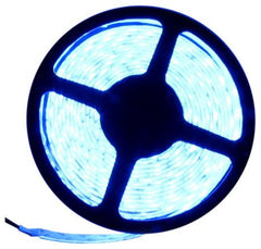 12V LED Strip Lights ~ 12V Single Color Light Strips ~ 3528SMD Single Color ~ 3528 Single Color Reel Only - 3528SMD Nova Bright Blue Super Bright Flexible LED Light  Strip 16 Ft Reel Only