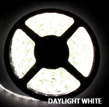 12V LED Strip Lights ~ 12V Single Color Light Strips ~ 5050SMD Single Color ~ 5050 Single Color LED Kit;12V LED Strip Lights ~ 12V White LED Light Strips ~ White (Daylight) - 5050SMD Daylight White Flexible LED Light  Strip 16 Ft Reel Kit - NON WATERPROOF