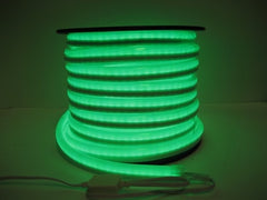 Neon Flex Tube 110V LED Light Strip 100FT Length Single Color UL