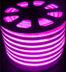 Neon Flex Tube 110V LED Light Strip 100FT Length Single Color UL