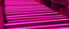 24x3W LED Wall Washer RGB Color Changing DMX Control NB-055